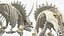 Triceratops Skeleton