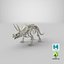 Triceratops Skeleton