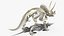 Triceratops Skeleton
