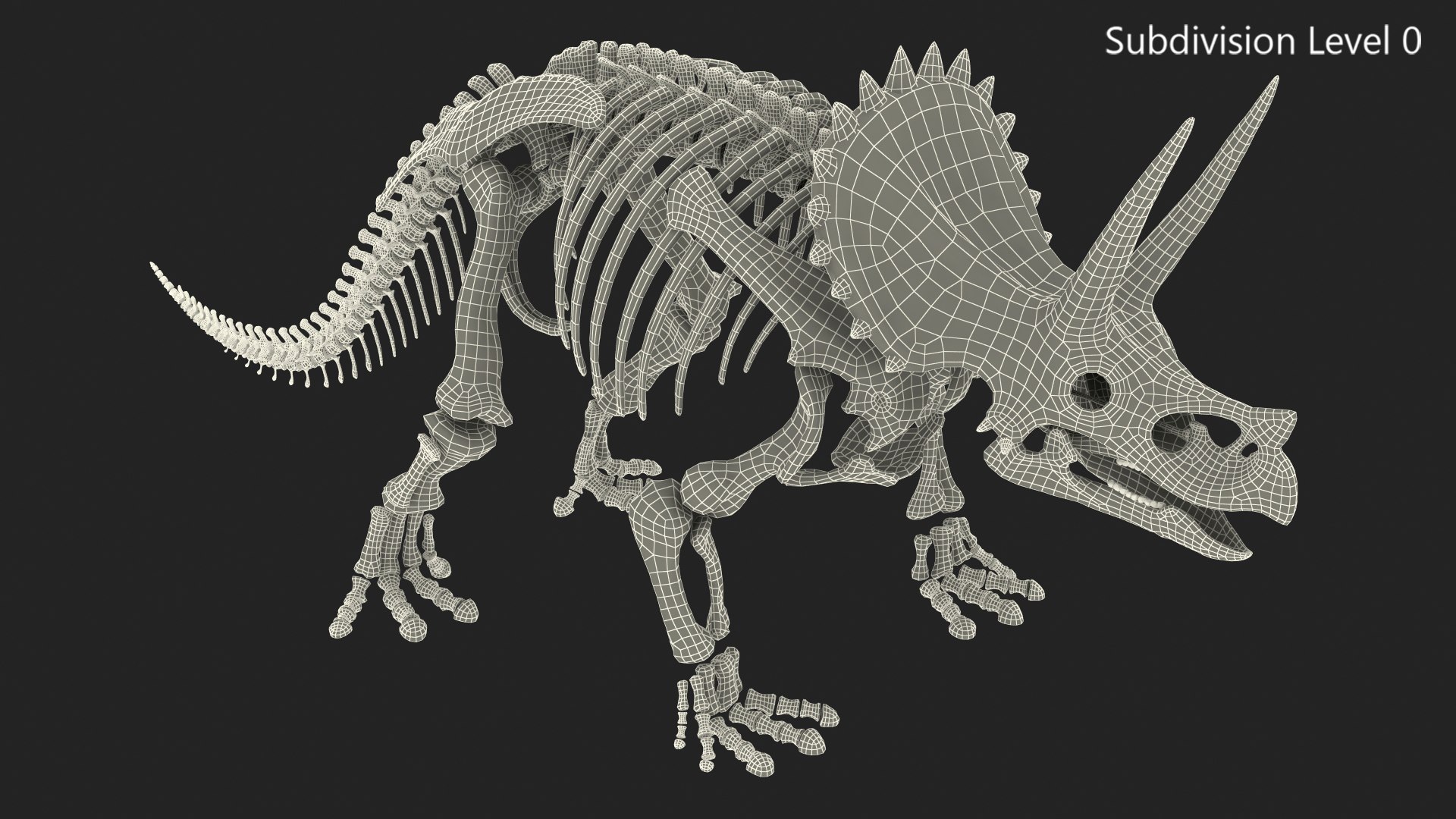 Triceratops skeleton 3D model - TurboSquid 1505921