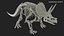 Triceratops Skeleton