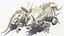 Triceratops Skeleton