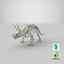 Triceratops Skeleton