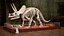Triceratops Skeleton