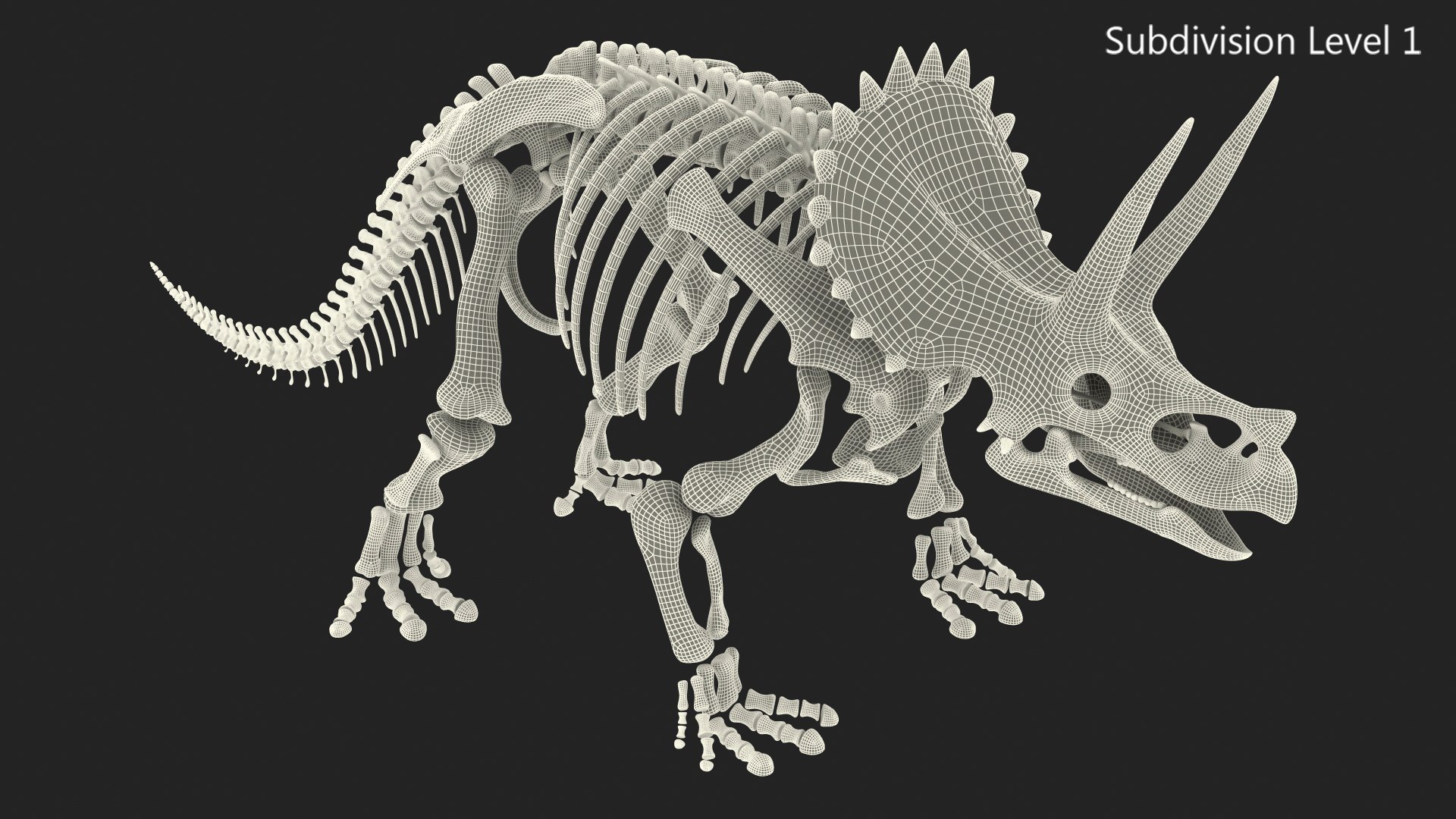 triceratops skeleton 3D model https://p.turbosquid.com/ts-thumb/Ur/q9xEVj/SA5MWXJ6/triceratopsskeletonmb3dmodel018/jpg/1580842737/1920x1080/fit_q87/4c1b51010335ada4d37403e253fa5de95a635992/triceratopsskeletonmb3dmodel018.jpg