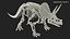 Triceratops Skeleton