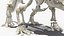 Triceratops Skeleton