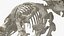 Triceratops Skeleton