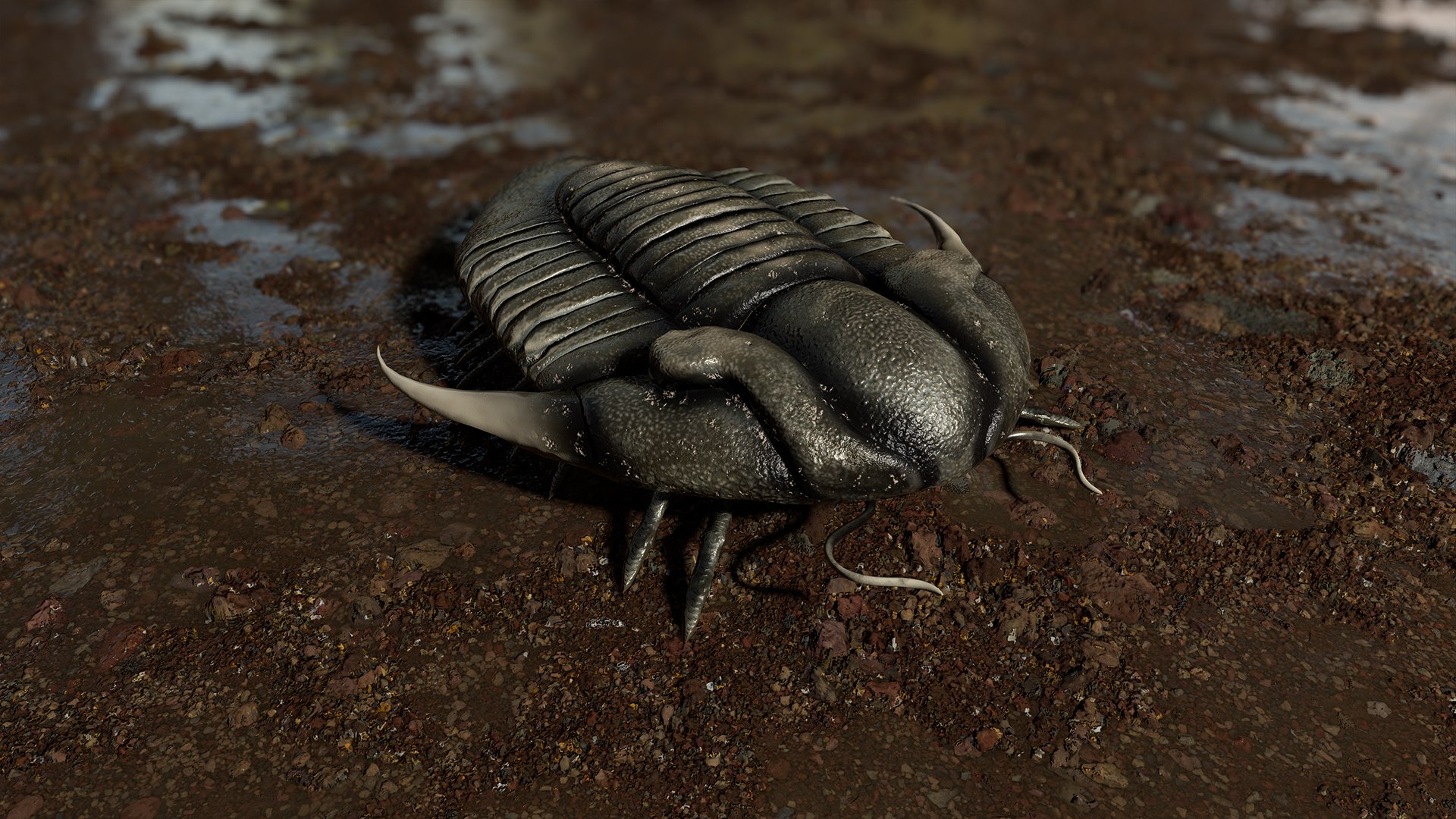 3D reproduction - trilobite illaenus https://p.turbosquid.com/ts-thumb/Us/0mSgNu/jzg4WW1E/trilobite_02_screen_1/jpg/1595202119/1920x1080/fit_q87/ce3e0966276b6e767207682a29926b19a0221776/trilobite_02_screen_1.jpg