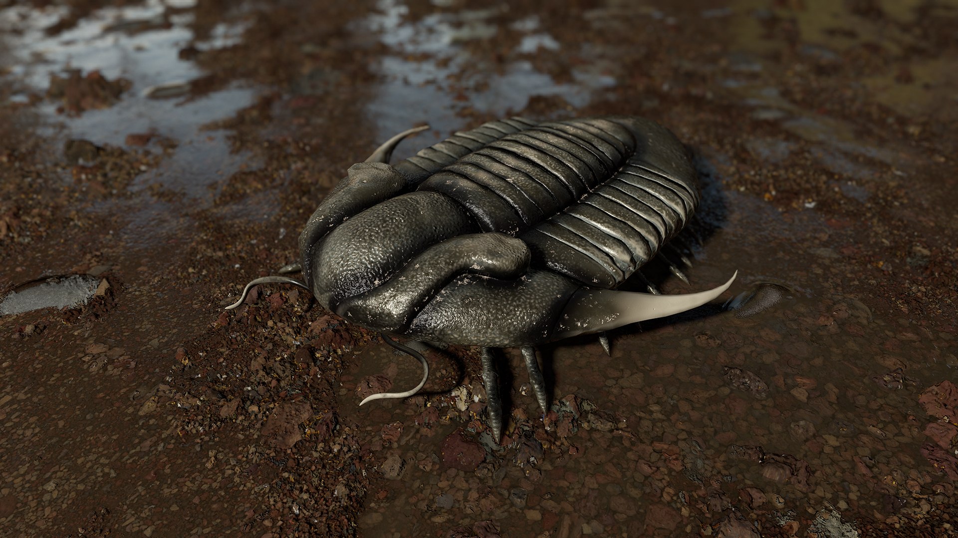 3D reproduction - trilobite illaenus https://p.turbosquid.com/ts-thumb/Us/0mSgNu/kU0ye3Wq/trilobite_02_screen_2/jpg/1595202119/1920x1080/fit_q87/fa79b928fd1ffcae32266ef1779637706ba4a33d/trilobite_02_screen_2.jpg