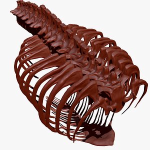3D trex spine rib set