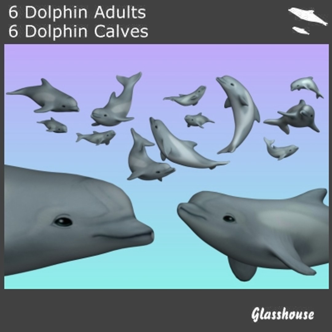 3d dolphins model