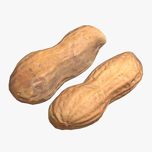 Peanut Low Poly 3D