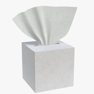 tissue box 2 3D model