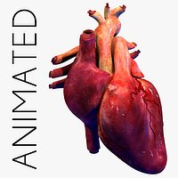 Heart Pro Animated textured
