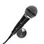 microphone and stand