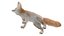 Fennec Fox Fur
