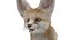 Fennec Fox Fur