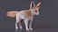 Fennec Fox Fur