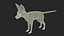 Fennec Fox Fur
