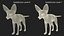 Fennec Fox Fur