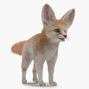 3D Fennec Fox Fur