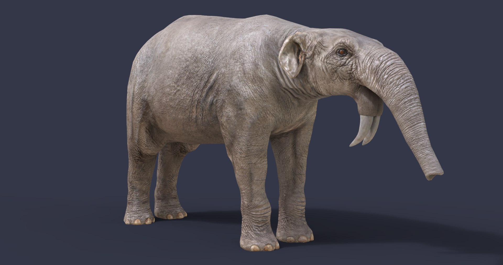 3D model nature animal dinosaur https://p.turbosquid.com/ts-thumb/Us/d1D7cO/PotpbaBK/3/png/1584551529/1920x1080/fit_q87/b294a13ea522ea00127b7420674ce35c5d2f39fe/3.jpg