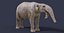 Deinotherium proavum
