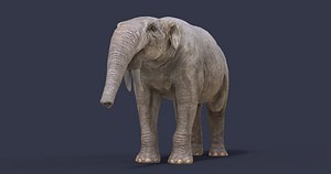 3D model nature animal dinosaur