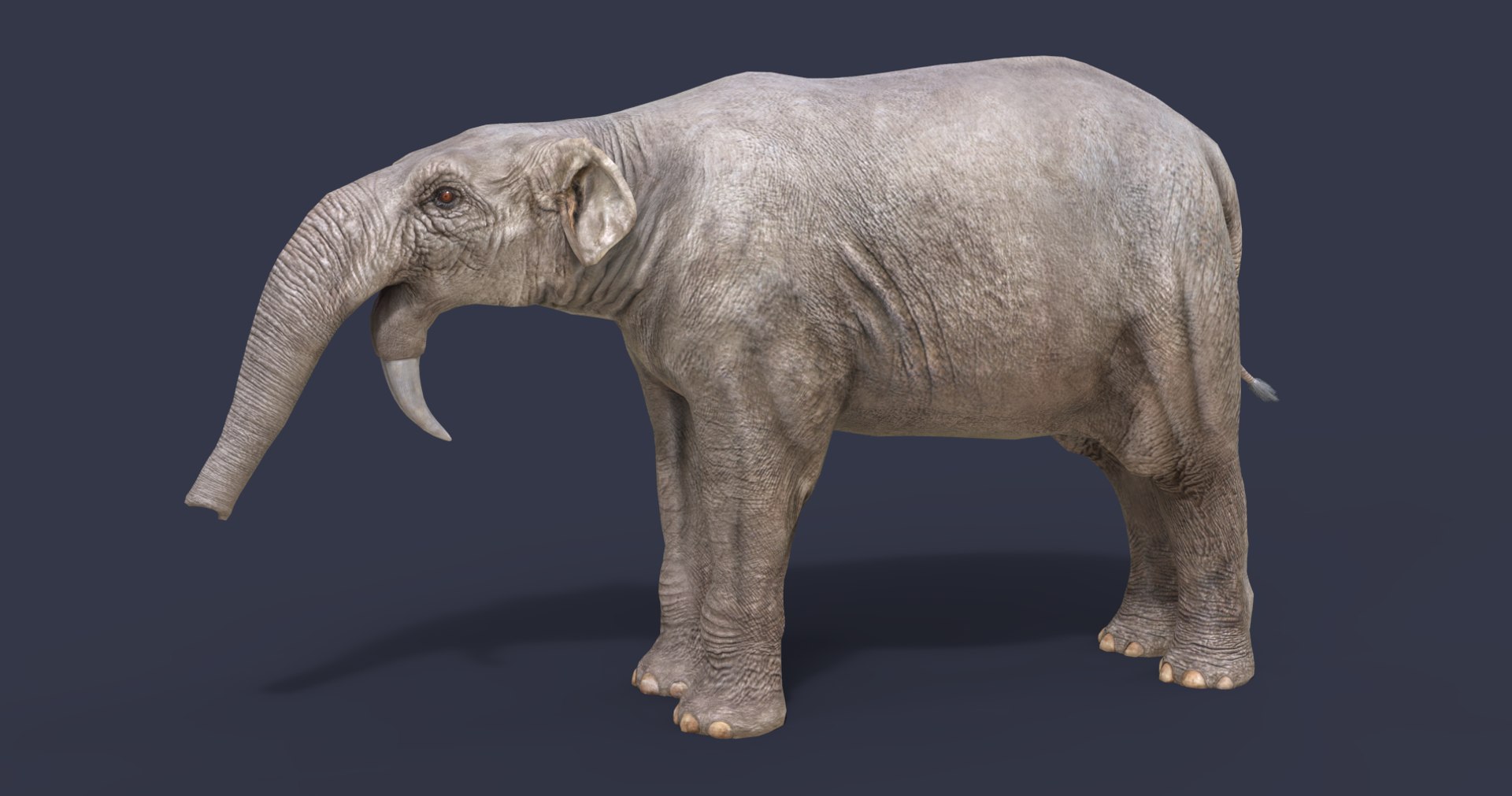 3D model nature animal dinosaur https://p.turbosquid.com/ts-thumb/Us/d1D7cO/c76KmrBW/2/png/1584551519/1920x1080/fit_q87/21b54cf9ee60a972020a27401d8e3d1cfbc26178/2.jpg