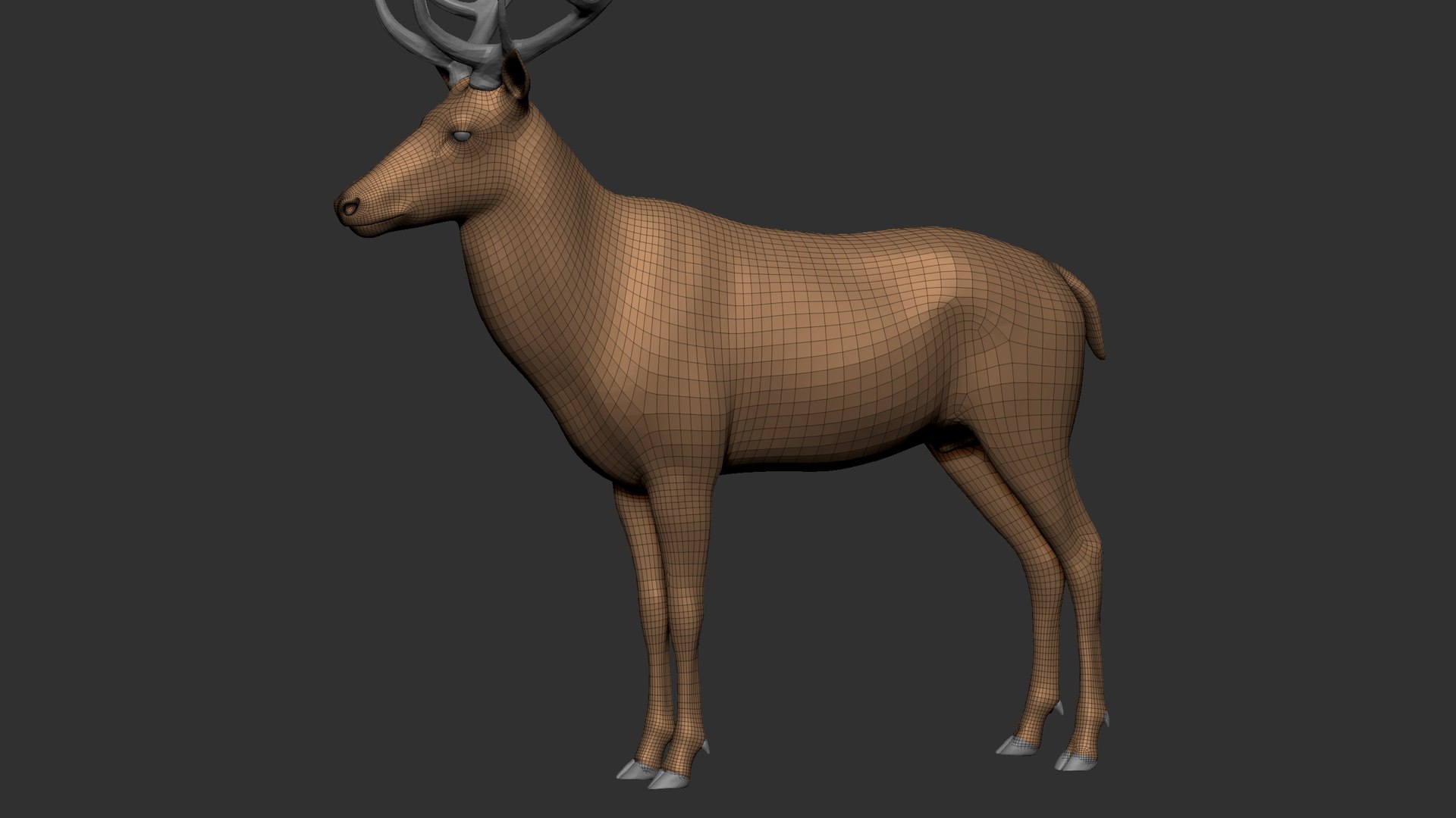 Reed Deer Stag 3D model https://p.turbosquid.com/ts-thumb/Us/w1O4pl/4n/q7/jpg/1618311608/1920x1080/fit_q87/d2c16701d1f79e3b28fb5b7229922d5ac27c25a1/q7.jpg