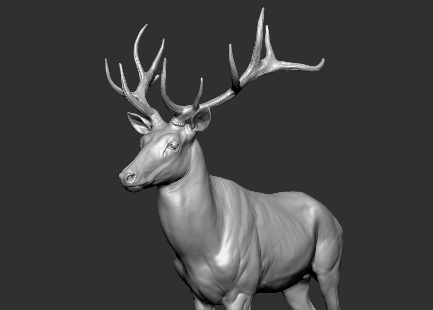 Reed Deer Stag 3D model https://p.turbosquid.com/ts-thumb/Us/w1O4pl/Cx/6/jpg/1618311410/1920x1080/fit_q87/2e4a8b85d577f5703af5d41e9032a07884e45fc4/6.jpg