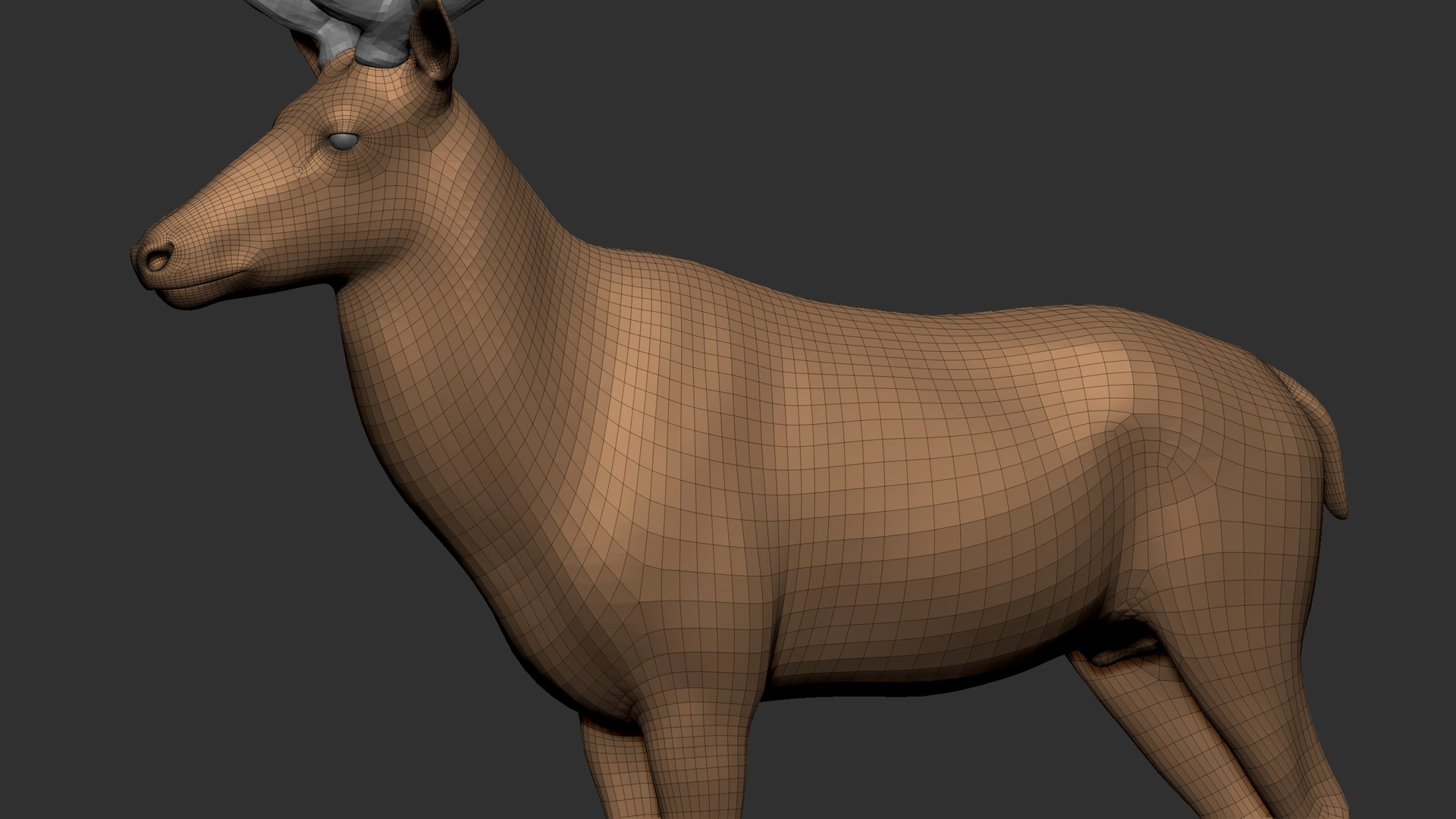 Reed Deer Stag 3D model https://p.turbosquid.com/ts-thumb/Us/w1O4pl/ZJ/q2/jpg/1618311613/1920x1080/fit_q87/5cc9a661cde23844ab378c83c0f98cfba0708d31/q2.jpg
