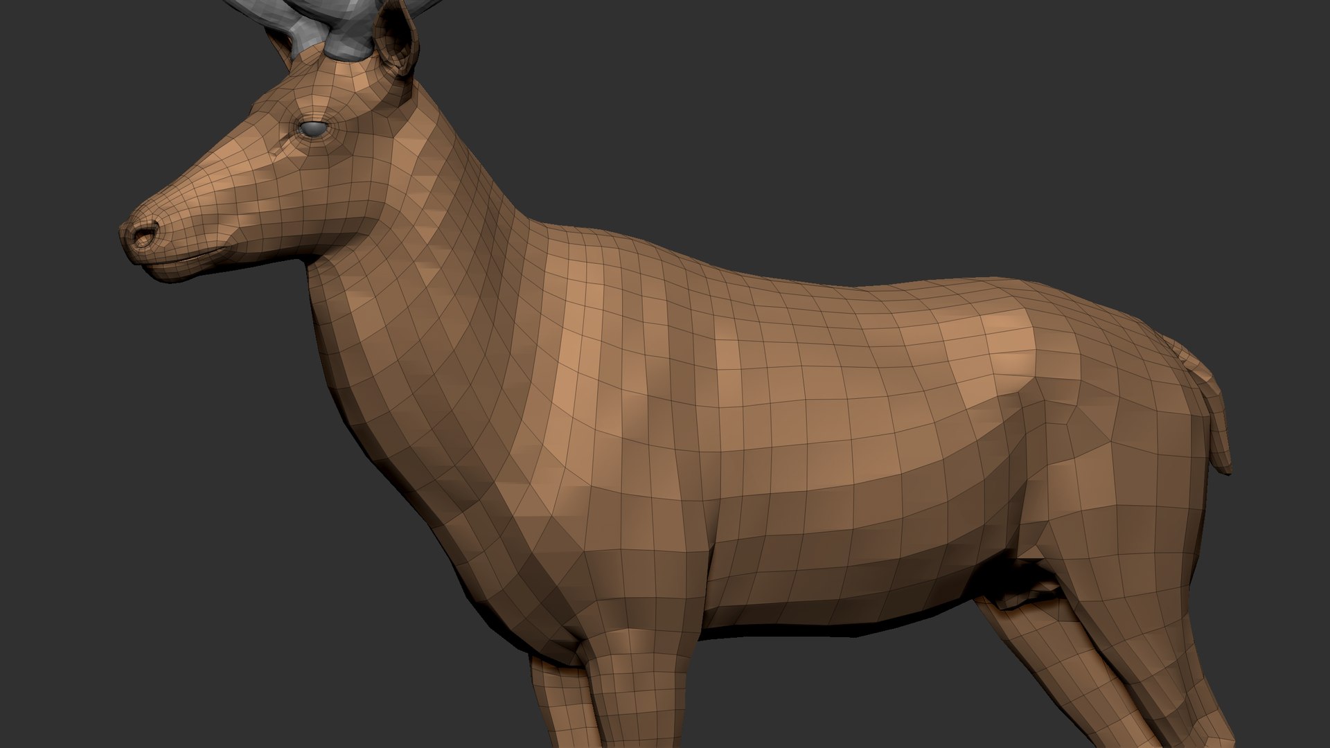 Reed Deer Stag 3D model https://p.turbosquid.com/ts-thumb/Us/w1O4pl/vU/q1/jpg/1618311614/1920x1080/fit_q87/18d98b05c3cda88e58cc0003b605edd93c655918/q1.jpg