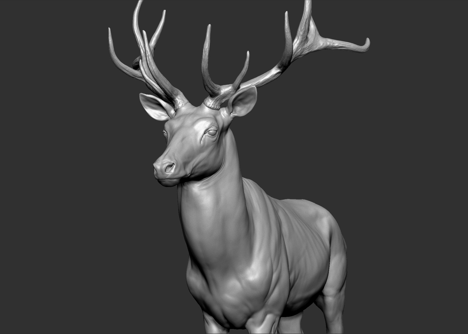 Reed Deer Stag 3D model https://p.turbosquid.com/ts-thumb/Us/w1O4pl/w7/5/jpg/1618311406/1920x1080/fit_q87/b5bcdd6a065d61855872e4442e1d3ebac38f42b7/5.jpg