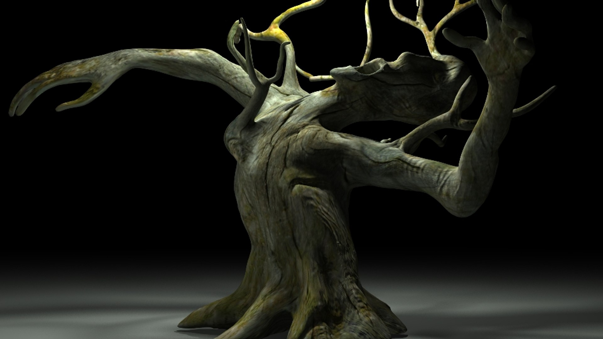 monster tree ma free https://p.turbosquid.com/ts-thumb/Ut/4RMvYR/XjqQuwRs/9/jpg/1409180068/1920x1080/fit_q87/aaa40a12314f64f78712725f5a190f5391f9dce0/9.jpg