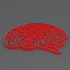 3D Red Brain Maze