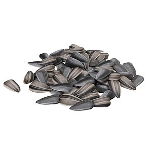 Sunflower seed pile v2 3D