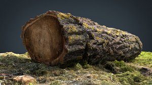 dead trunk 3D model
