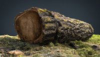 Dead trunk 6