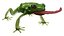 Tree Frog