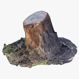 oak stump 9 3D model