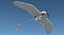 Remote Controlled UAV Wasp AE UAS 3D Model