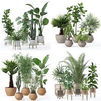 20 Photorealistic Flowers for Interiors - set 118 126 129 136
