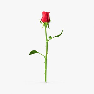 3d model rose modeled colors