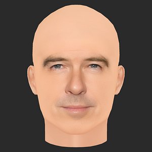 3D Low Poly Pierce Brosnan Head