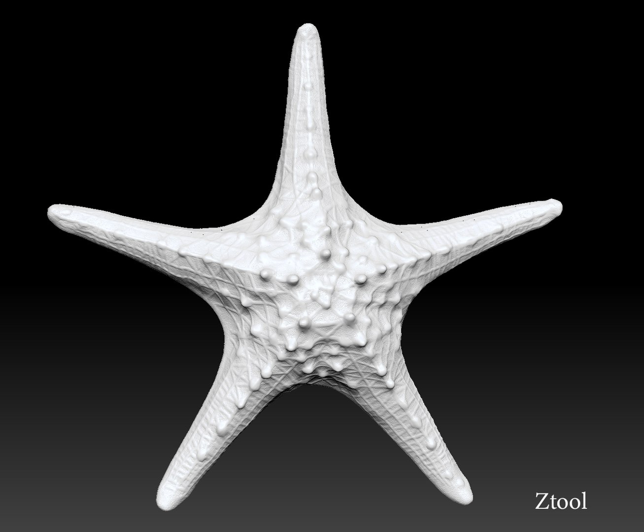 3D model Knobby Sea Star Starfish with bonus ztool https://p.turbosquid.com/ts-thumb/Uu/FDlSIr/Yd/ztool_front2/png/1758579002/1920x1080/fit_q87/c3f9cf8e04d2355bb4b561ee584b58bf88b6a2fc/ztool_front2.jpg