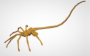 Facehugger