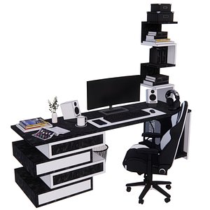 Workstation Desk