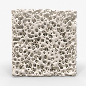 3D Bone Sponge Structure